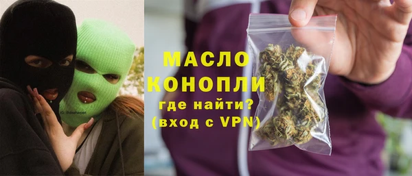 мдпв Михайлов