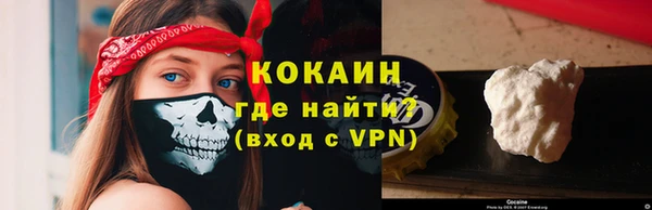 мдпв Михайлов