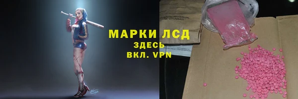 мдпв Михайлов
